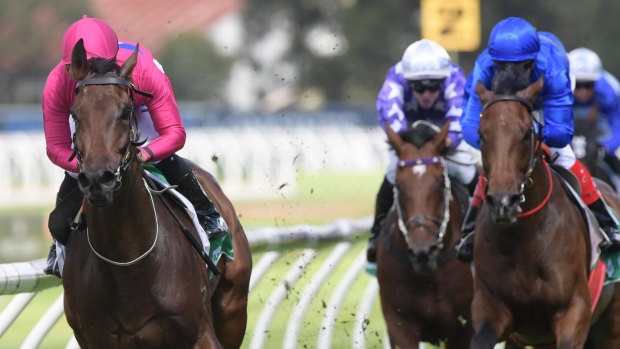 Hard to catch: Angel Of Truth kicks clear in  the Tulloch Stakes at Rosehill.