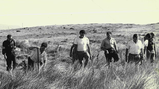 Volunteers search sand dunes near Fairy Meadow in the hunt for Cheryl Grimmer on January 14, 1970.