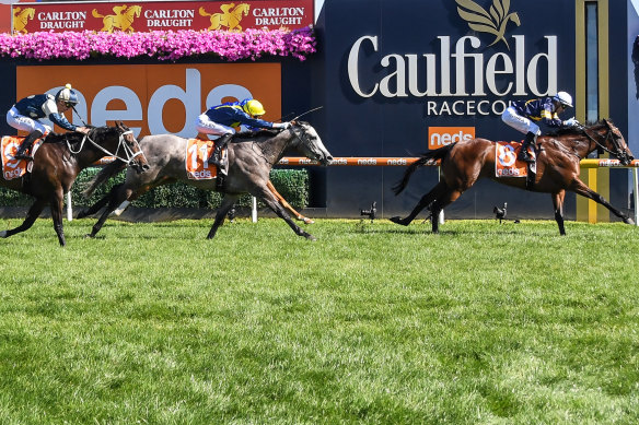 Mark Zahra steers Tofane to victory in the C.F. Orr Stakes at Caulfield on Saturday.