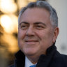 ‘A compelling story’: Joe Hockey on Biden and Bubs’ $20m baby formula deal