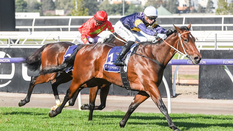 Team Hawkes hopes patience pays off with Altivo after two-year break