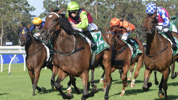 Impressive: Cisco Bay was dominant at Warwick Farm earlier this month and should back it up on Friday at Canterbury.
