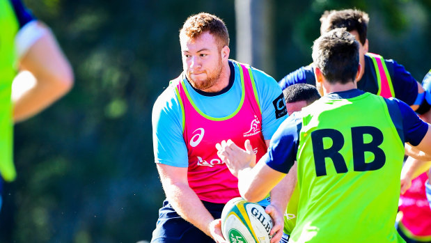 Newcomer: Harry Johnson-Holmes made an impression in his first Wallabies camp. 