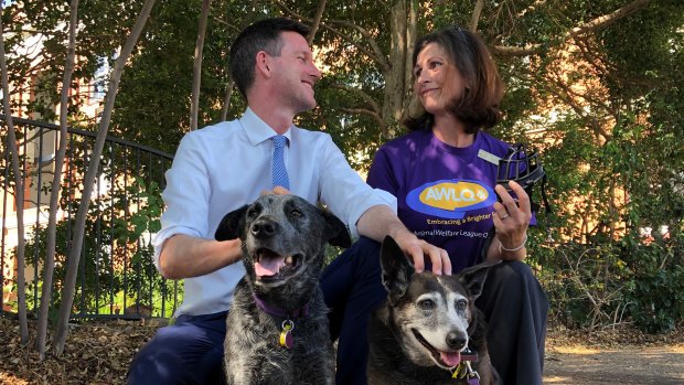 Transport Minister Mark Bailey and Animal Welfare League Queensland representative Kathryn Calthorpe announcing the trial of dogs on ferries.