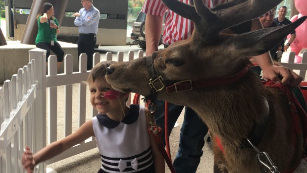 Maddison Challen was excited to get a kiss from one of Santa's reindeer.