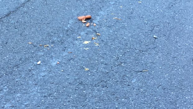 A sausage and sauerkraut was left strewn on the road after the accident at the corner of George and Queen streets in Brisbane.