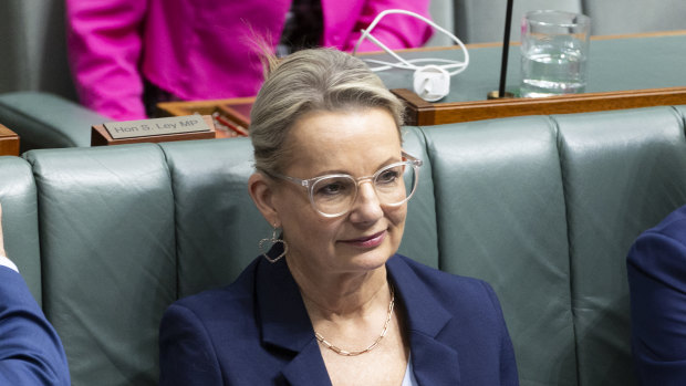 Deputy Opposition Leader Sussan Ley.