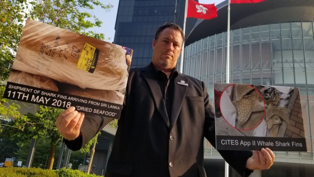 Gary Stokes, Asia director at Sea Shepherd, who discovered the endangered fins within the shipment, with images taken in front of Legco (Hong Kong).
