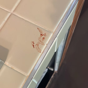 Some of the blood Comedor staff said they had to clean up.