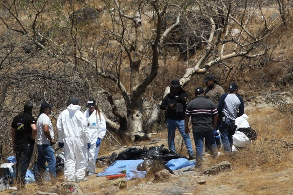 Several bags of human remains had to be extracted from the bottom of a ravine by a helicopter, which were abandoned at the Mirador Escondido community in Zapopan, Jalisco state,