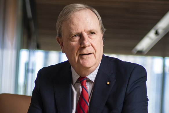 Former Treasurer Peter Costello says governments should not interfere in private companies' investment decisions.
