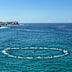 Surfers took part in a paddle out in honour of the former Bondi Rescue lifeguard.