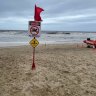 SEQ beaches closed, marine warning in place after Pacific tsunami