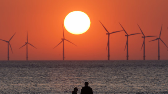 Renewables are set for another five years of record growth, the International Energy Agency says. 