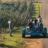 There are plenty of events and excursions for you to make a weekend of the Pinot Picnic.