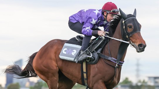 Jockey James McDonald puts Cox Plate favourite and Chris Waller-trained mare Aeliana through her paces at Flemington.