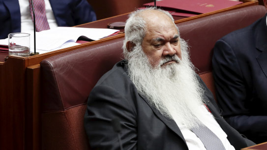 Pat Dodson says Ken Wyatt "needs the support of his leader. If he doesn't have that then he's playing with coconuts in the sea". 