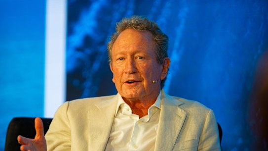 Andrew Forrest’s biggest bet has been on developing electrolysers that can break down water into green hydrogen or reduce iron ore to “green iron” suitable for steel making.