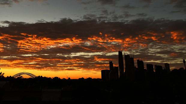 Global boiling: Sydney hasn’t done enough to prepare for lethal heat