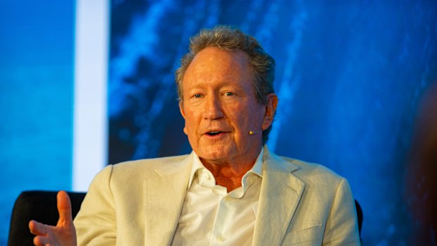 Andrew Forrest’s biggest bet has been on developing electrolysers that can break down water into green hydrogen or reduce iron ore to “green iron” suitable for steel making.