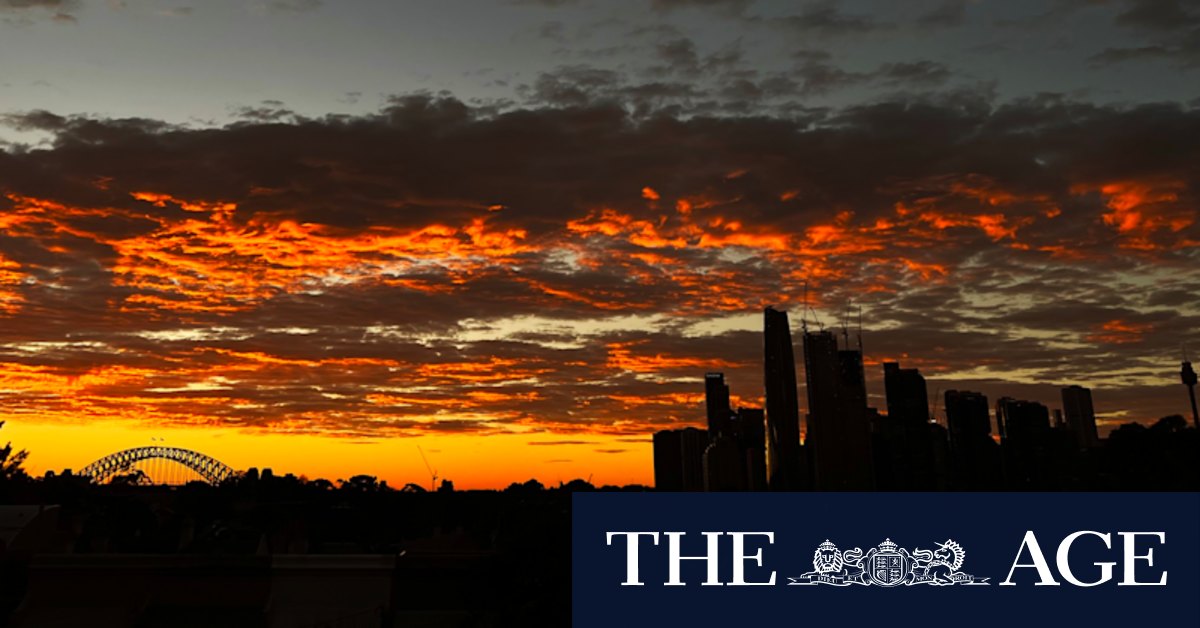 Global warming: Painting roads, longer library operating hours and planting trees: Sydney hasn't done enough to prepare for heat - Vimarsana News