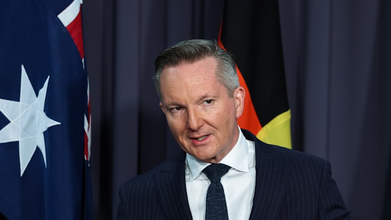 Rupert Murdoch's daughter gives Chris Bowen a place to stay