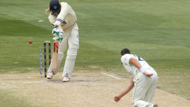 sheffield vics boland wicket scott aap