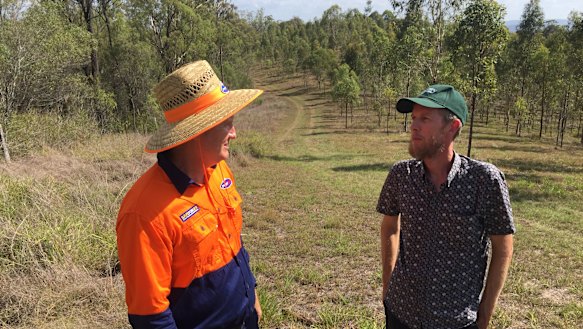 Powerlink's Gerard Reilly and Shannon Mooney from Healthy Land and Water discuss the successful planting of 12,500 koala food trees.