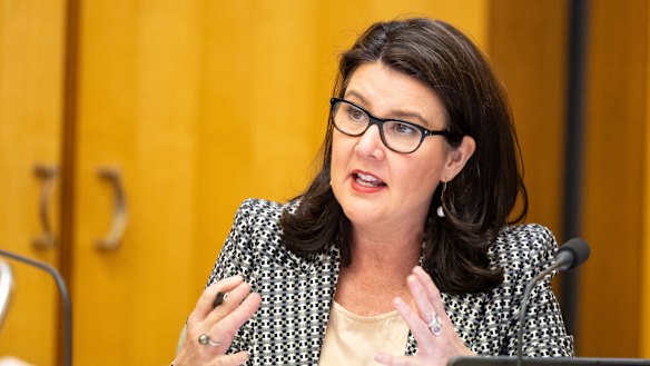 Opposition finance spokeswoman Jane Hume says the government is being negative about the future.