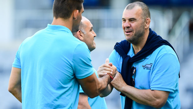 Michael Cheika is reportedly the new Argentina coach.