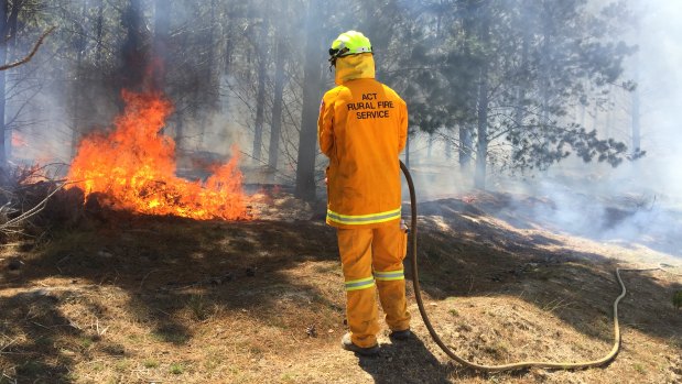 A bushfire continues to burn on Saturday at Pierces Creek Forest, west of Canberra.
