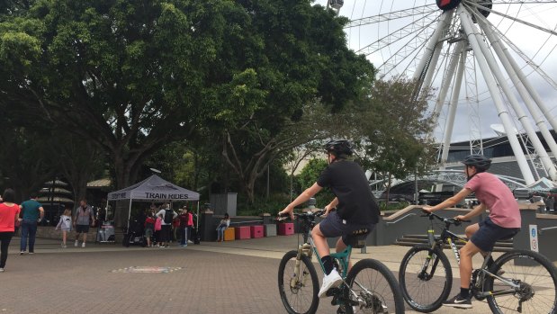 Four large trees in front of the Wheel of Brisbane will be removed to allow the new Neville Bonner Bridge to land at South Bank.