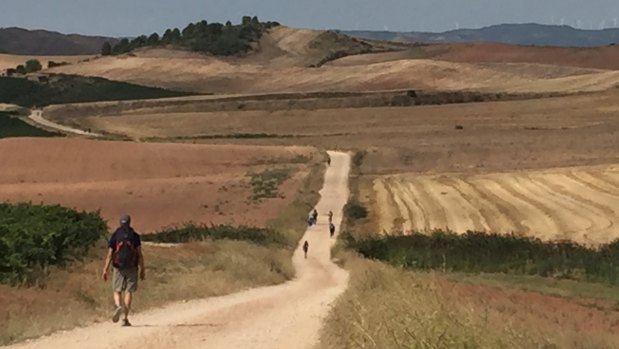A shot by Father Richard Thompson who is currently walking the full Camino trail across northern Spain.