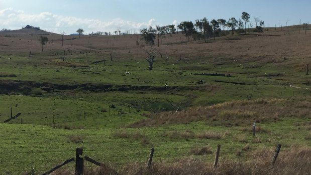 Badly cleared paddocks lead to sinkholes and erosion.