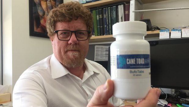  Professor Rob Capon from University of Queensland's Institute of Molecular Bioscience, with his bottled cane toad baits.