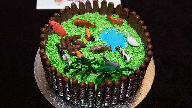 An entry from the first PANDSI Cake-Off in 2016, asking bakers to make something from the Australian Women's Weekly Children's Birthday Cake Book.