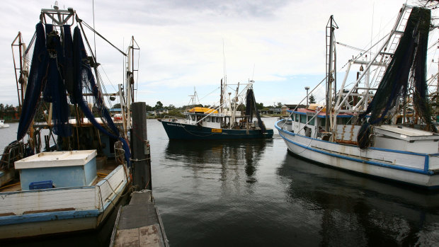 Fishing trawlers at Yamba.