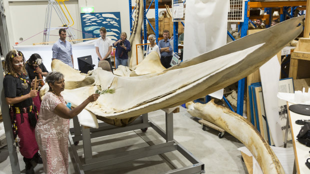 The skeleton's size made it challenging to fit into a shipping container for its trip to Canada.
