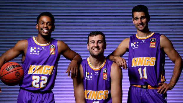 Casper Ware, Andrew Bogut and Kevin Lisch will all be key to Sydney's hopes this season.