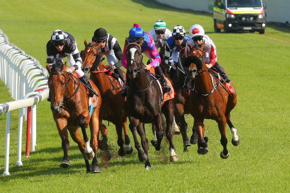 There is an eight-race card at Hawkesbury today.
