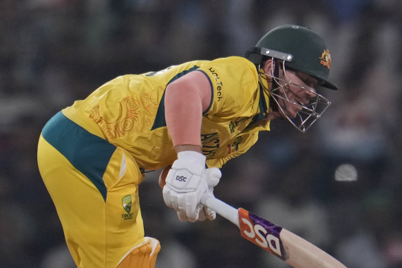 David Warner was the second wicket to fall.