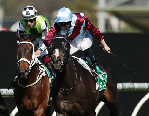 Laure Me In set to continue his winning form in the Wyong Cup on Friday.