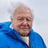 David Attenborough has a new film for his 99th birthday – and it’s surprisingly optimistic