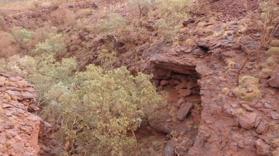 Before it was destroyed by Rio Tinto, the Juukan Gorge in WA held evidence of human habitation dating back 46,000 years.