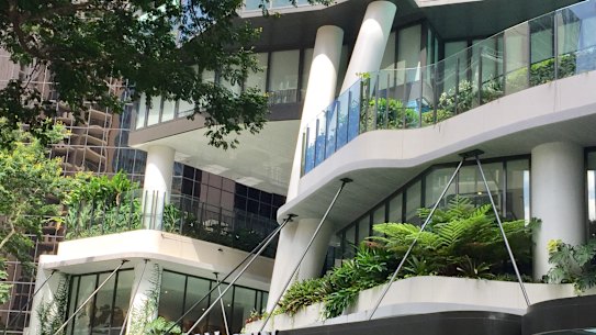 Guests of Queensland's hotel quarantine say they were not tested for COVID-19 even when they asked to be tested.