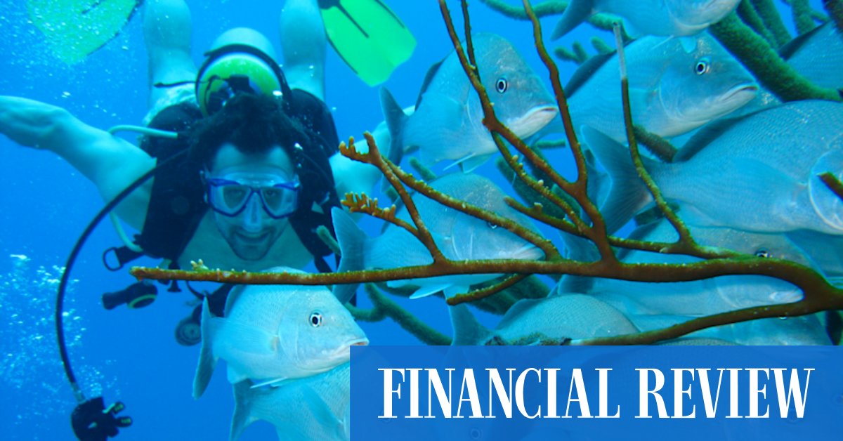 How this CEO found clarity in the depths of the ocean - Vimarsana News