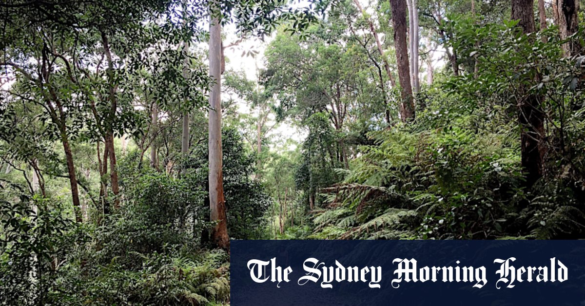 Summer in Sydney: The nature escape just 45 minutes from the city - Vimarsana News