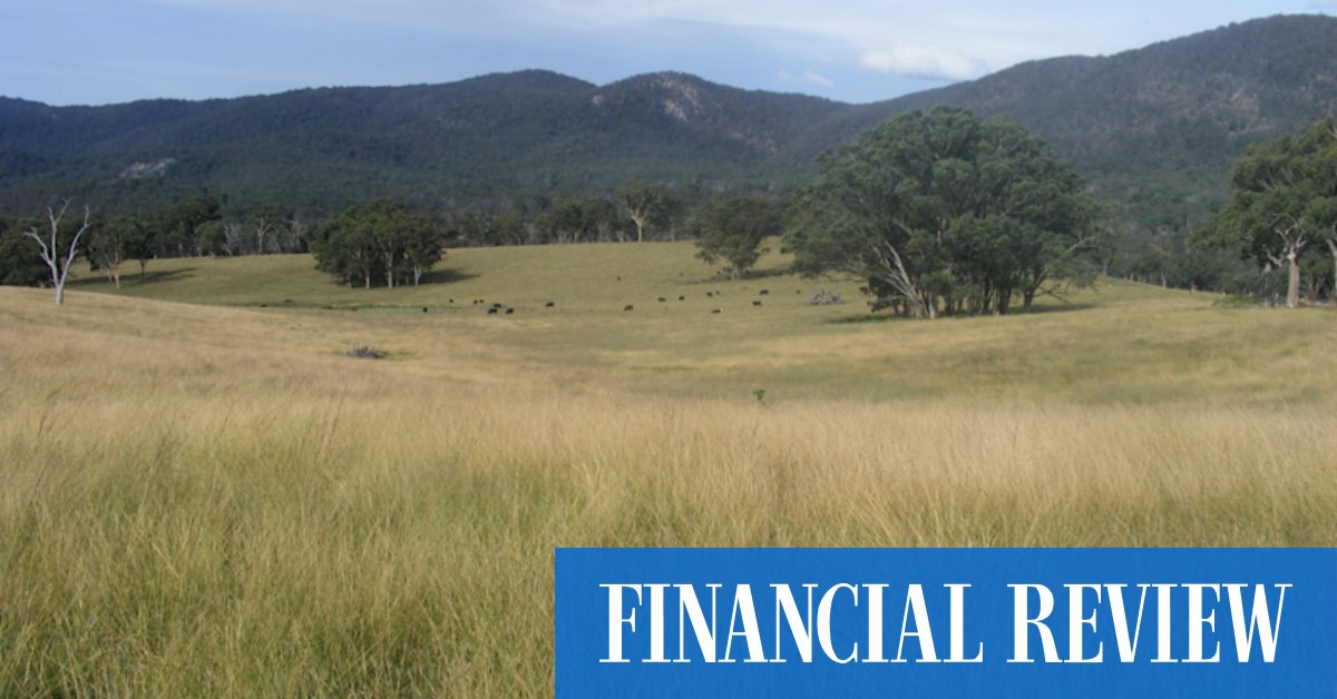 Farming families join forces to buy New England station - Vimarsana News