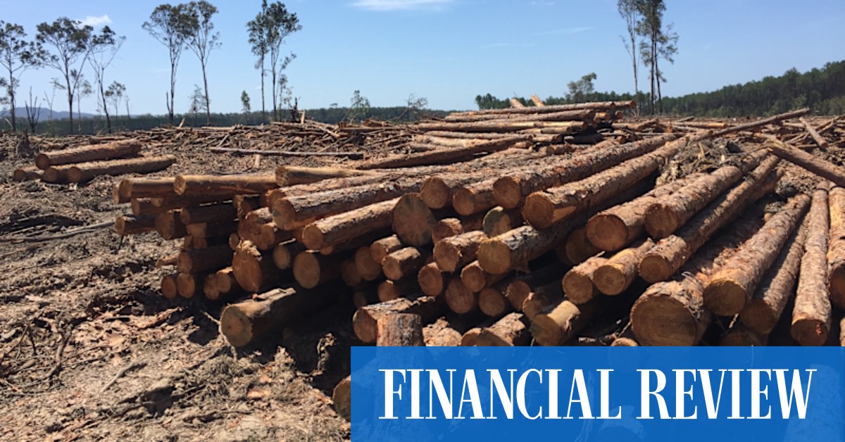 Japan's Mitsui and Nomura buy Sydney fund manager New Forests - Vimarsana News