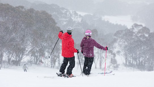 'No warnings': Assaults in NSW alpine region skyrocket